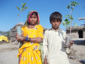 Children love to plant trees at their house