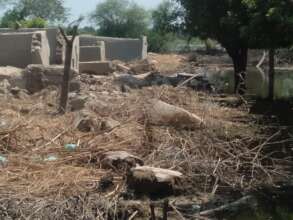 Mass scale destruction