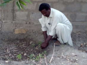 AHD staff during demonstration tree planting