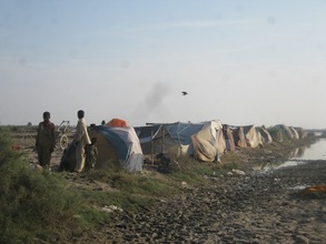 temporary houses in Sujawal & Jati area