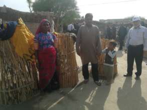 New Trees planted at house front ground