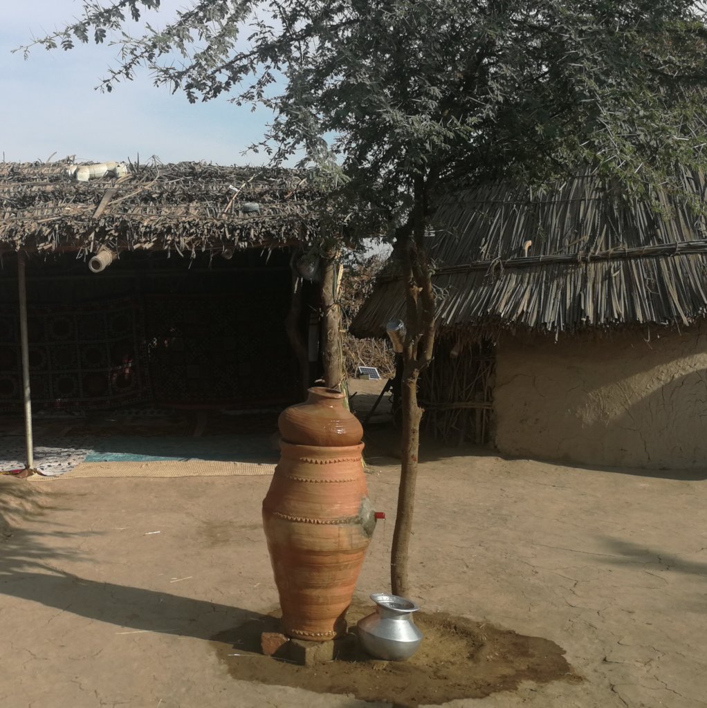 Tree planted 1 year later now providing shelter fo