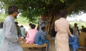Trees play role in Providing shelter