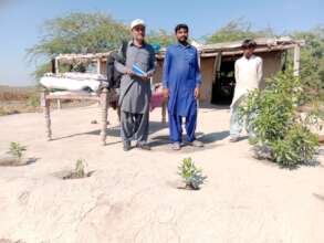 Tree plantation in Flood affected villages