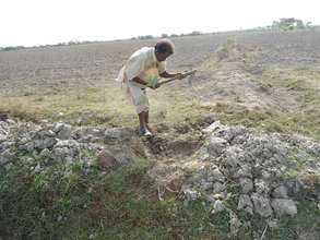 A farmer planting a tree