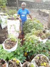 Man potatoes garden bags