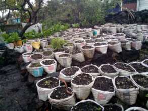 Vegetable-growing sites in refuge camps
