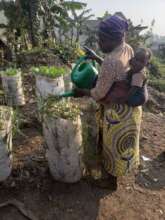 Watering vegetable garden bags