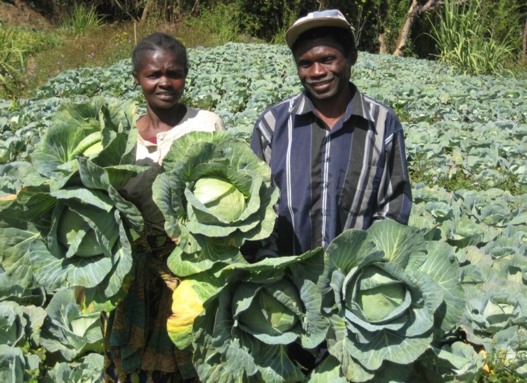 Professionalize and empower 180 Congolese families