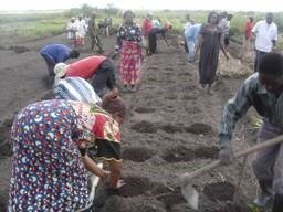 Professionalize and empower 180 Congolese families