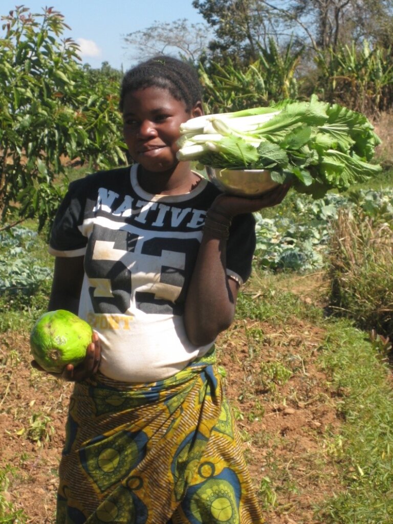 Professionalize and empower 180 Congolese families