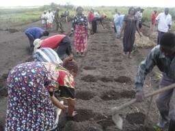 Nursery and fertilization training