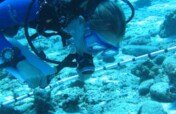 Protecting coral through community outreach