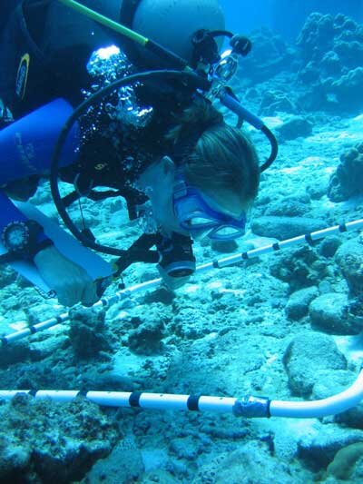 Protecting coral through community outreach