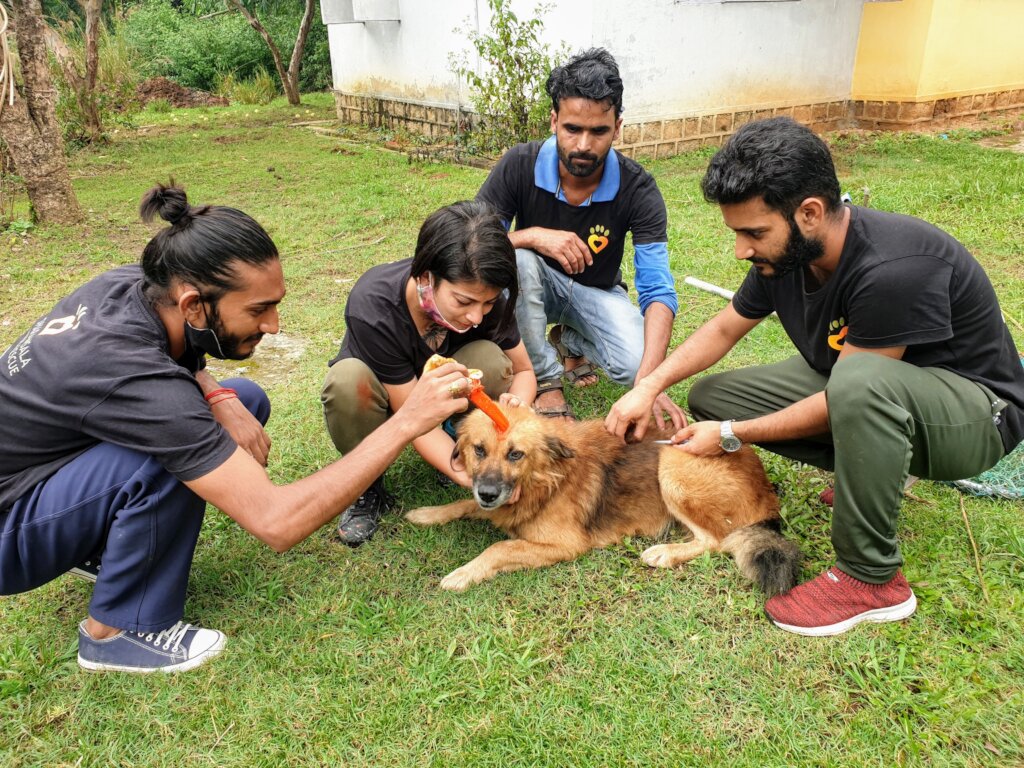 Prevent Rabies Deaths with Vaccination in India