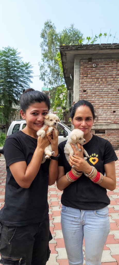 Prevent Rabies Deaths with Vaccination in India