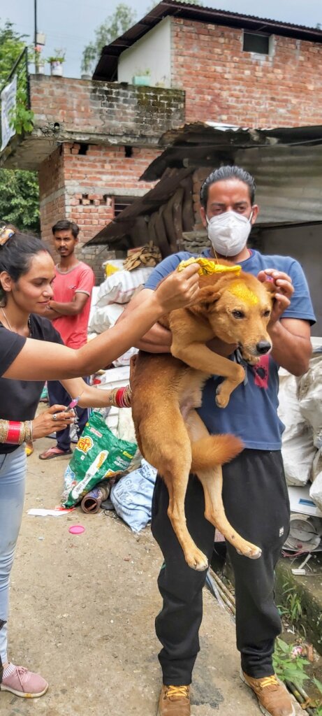 Prevent Rabies Deaths with Vaccination in India