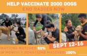 Prevent Rabies Deaths with Vaccination in India