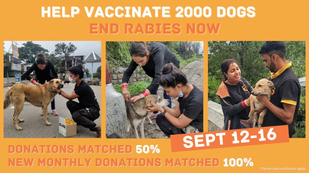 Prevent Rabies Deaths with Vaccination in India