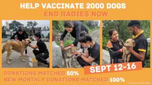 Prevent Rabies Deaths with Vaccination in India