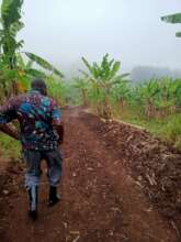 road to SDI