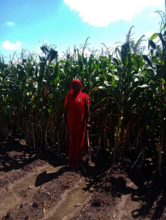 Anusuya standing in her farmland