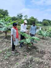 Our agronomist on your farm 1