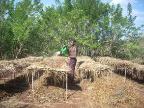 Tree Nursary