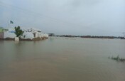 One Dollar Appeal for Flood 2022 Affected Families