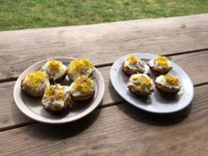 Dandelion cupcakes