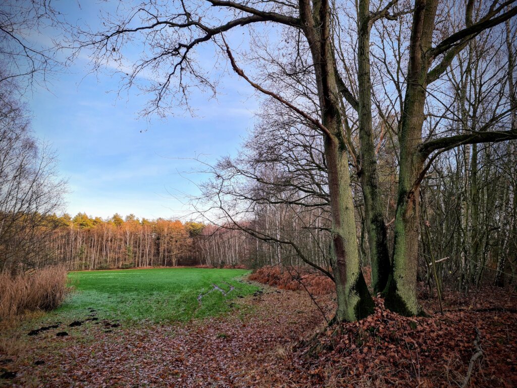 Natuurpunt Ham nature reserves