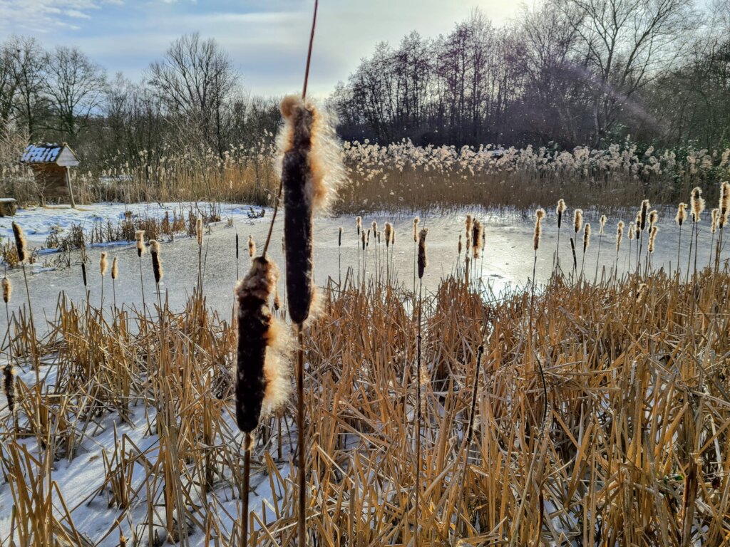 Natuurpunt Ham nature reserves