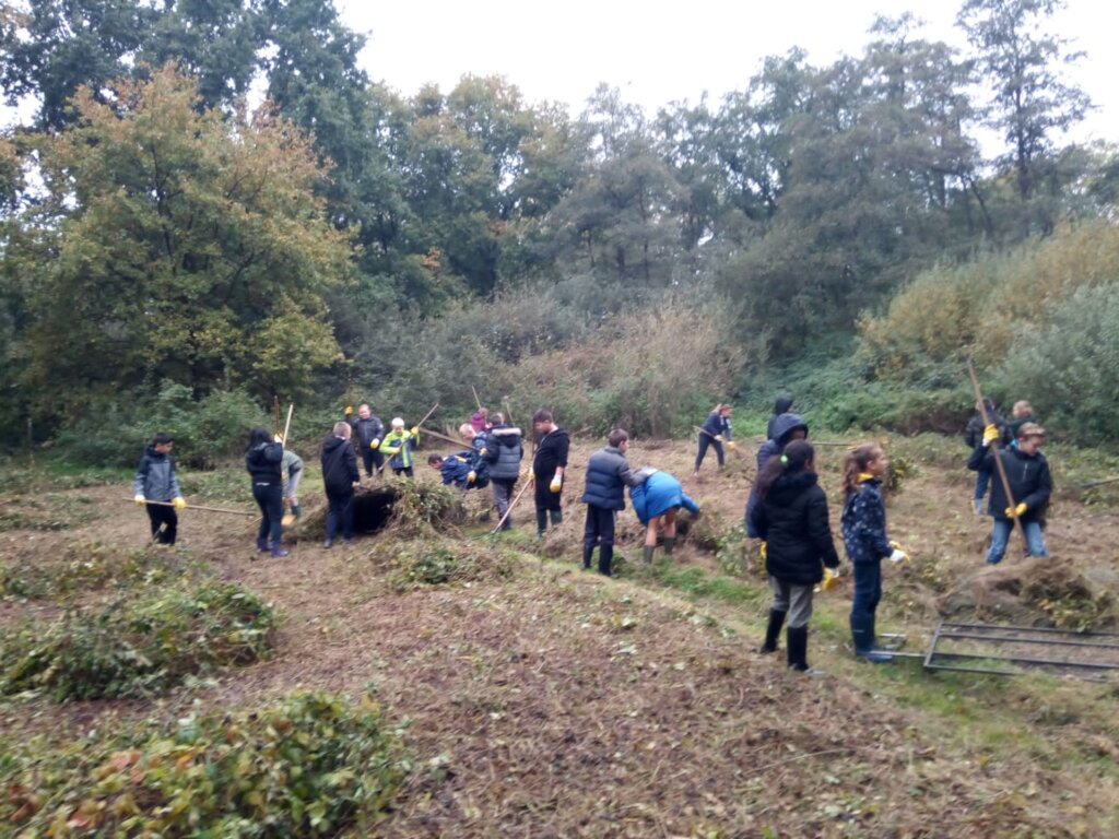 Natuurpunt Ham nature reserves