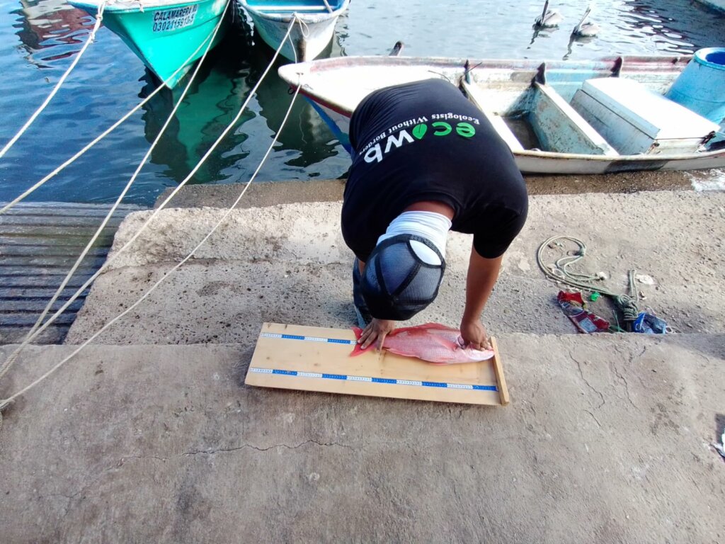 Enhance social wellbeing in small scale fisheries