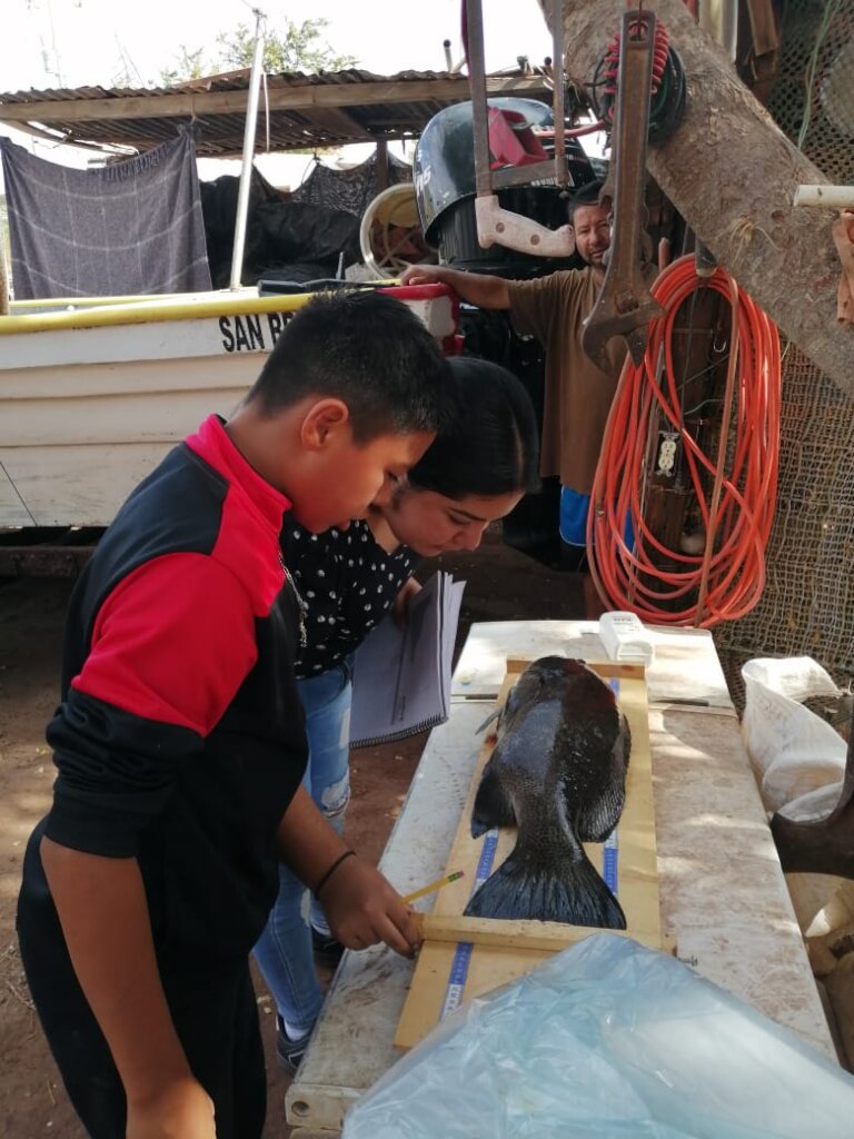 Enhance social wellbeing in small scale fisheries