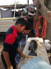 Interes de los ninos en pesqueria.