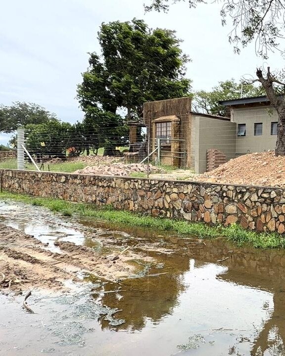 Help Save The Elephants' Home