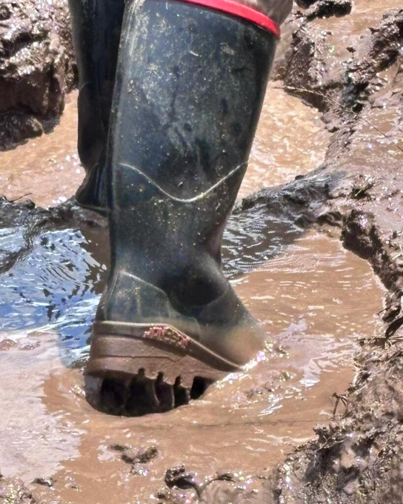 Help Save The Elephants' Home