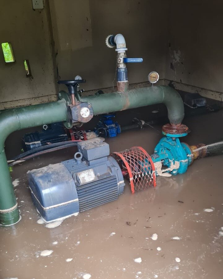 Help Save The Elephants' Home