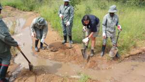 Help Save The Elephants' Home