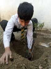 spring planation drive at school 2