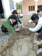 spring planation drive at school