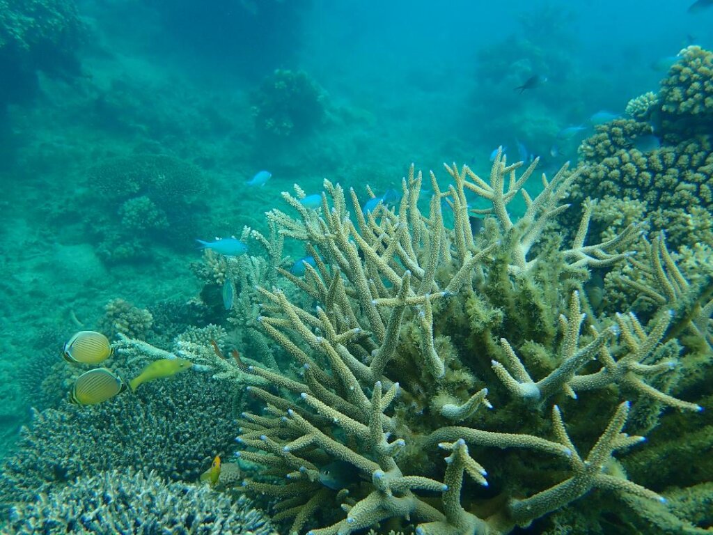 Photos by Leona Kustra