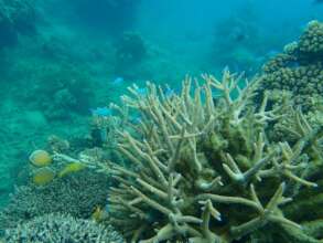 Photos by Leona Kustra