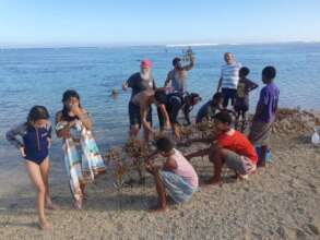 YOUTH IN ACTION- PLANTING RESISTANT CORALS!