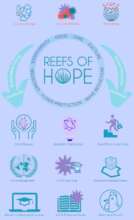 Coral Reef Health Influences design by L. Kustra