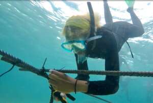 Workshop: Coral Nursery Construction