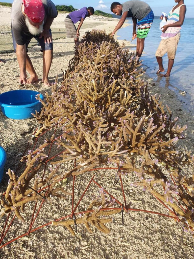Reefs of Hope South Pacific Expansion
