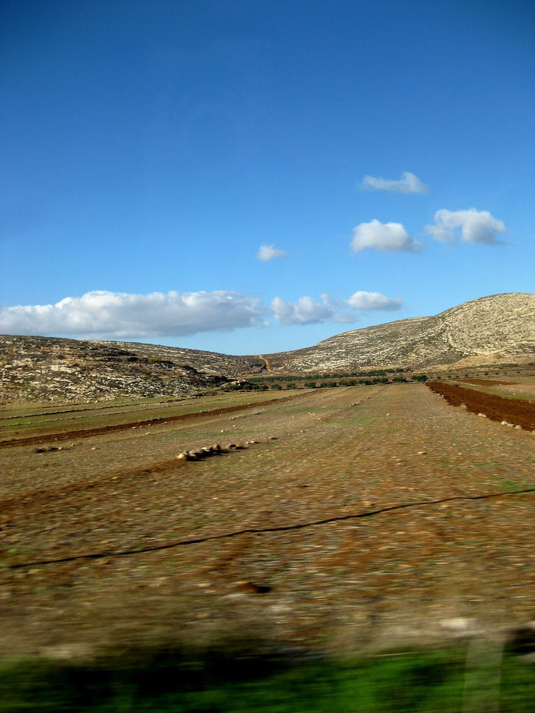 Help 7 youth become outdoor guides in Palestine