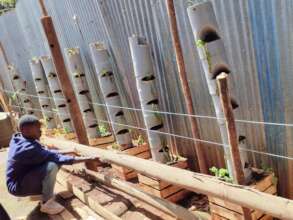 Installing a tower garden at the Elimu Project